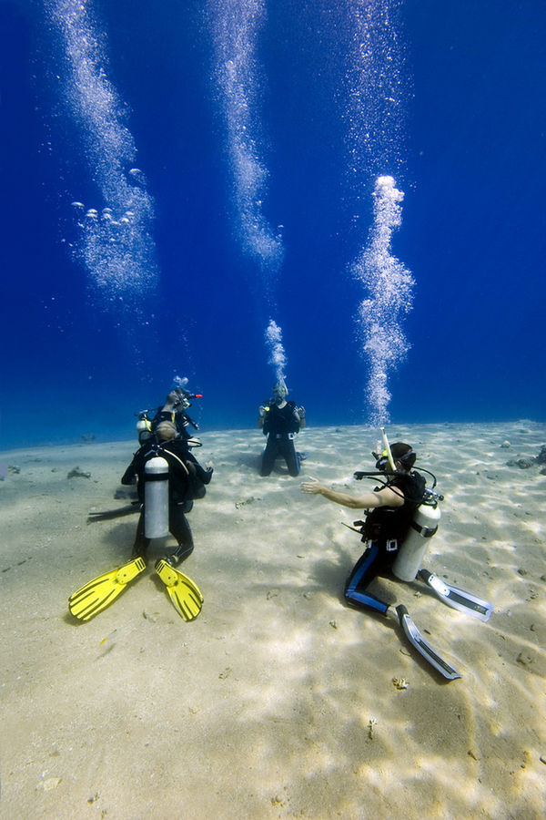 Diving Course