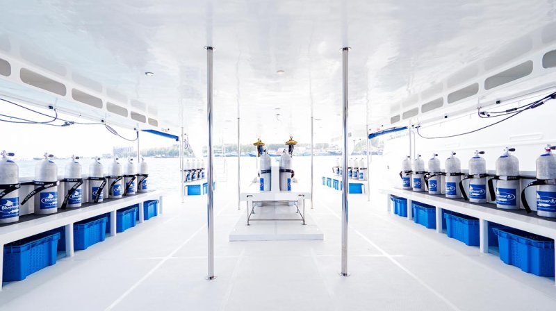Dhoni diving deck