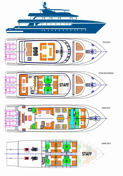 Layout