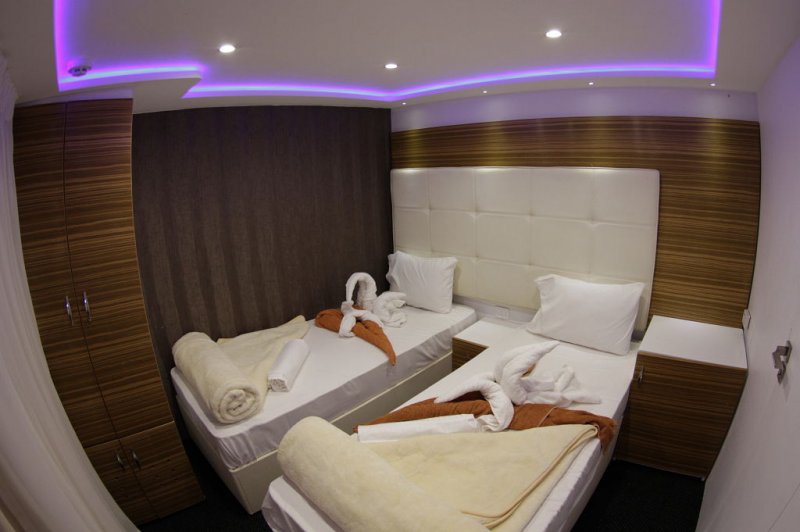 Twin Cabin (Lower deck)