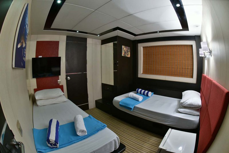 Superior Cabin