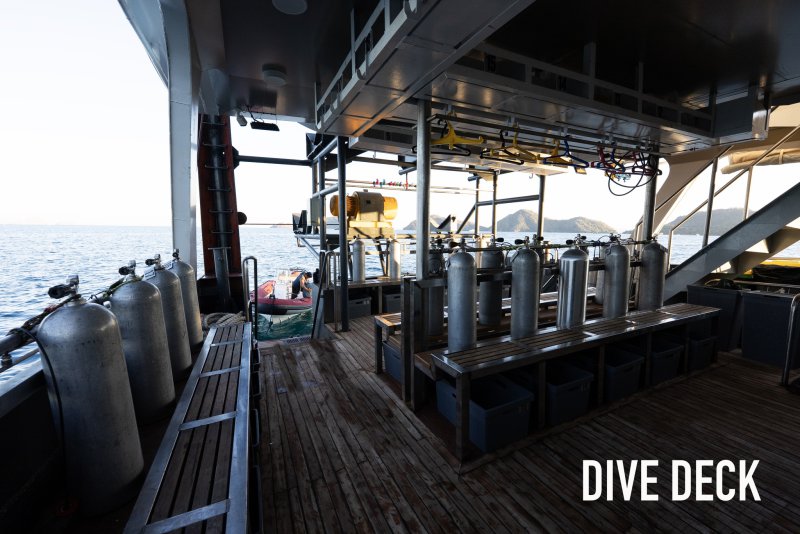Dive Deck