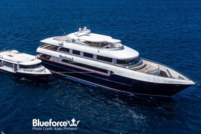 Blue Force 3