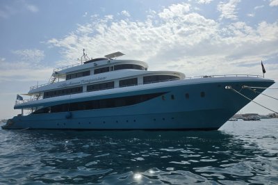 My Anemone Turquoise