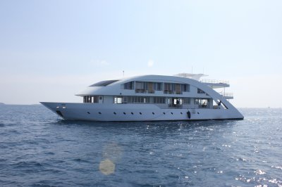 The Maldive mosaique