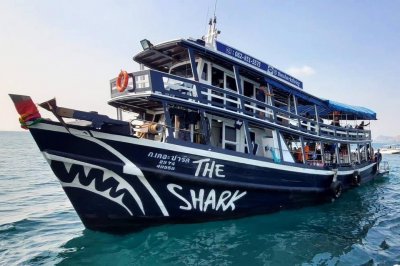 The Shark