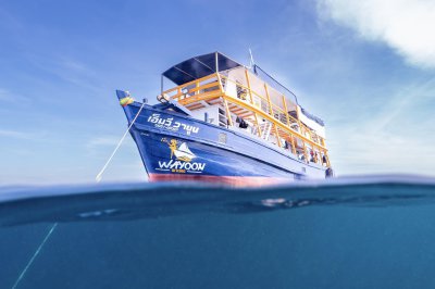 Wayoon (วายูน)