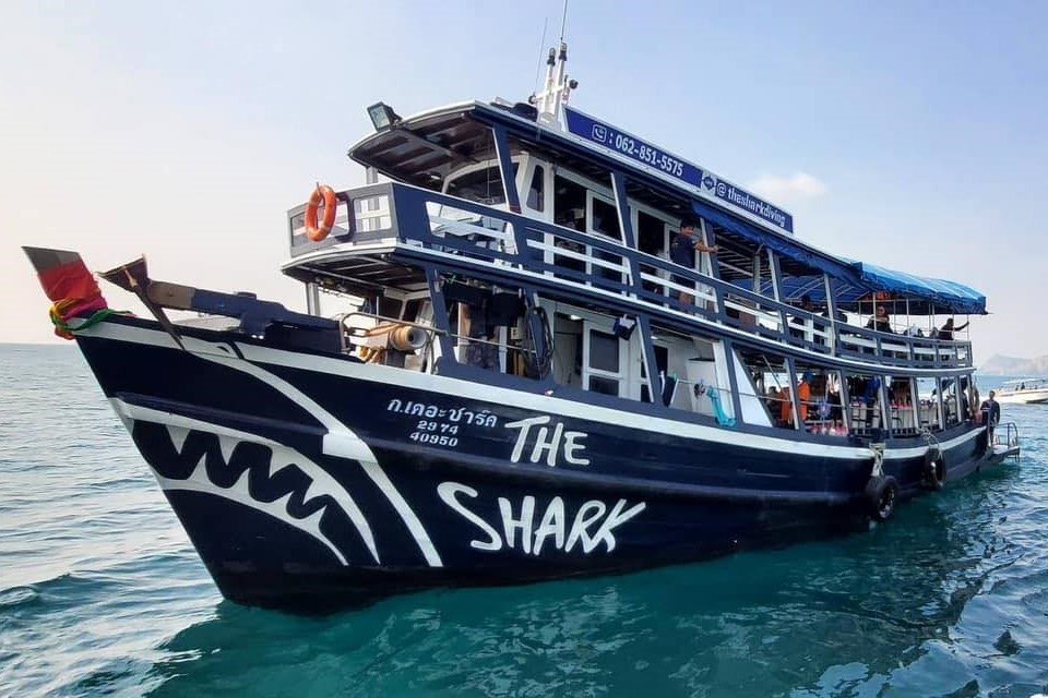 The Shark
