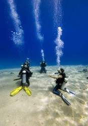 Scuba Diving