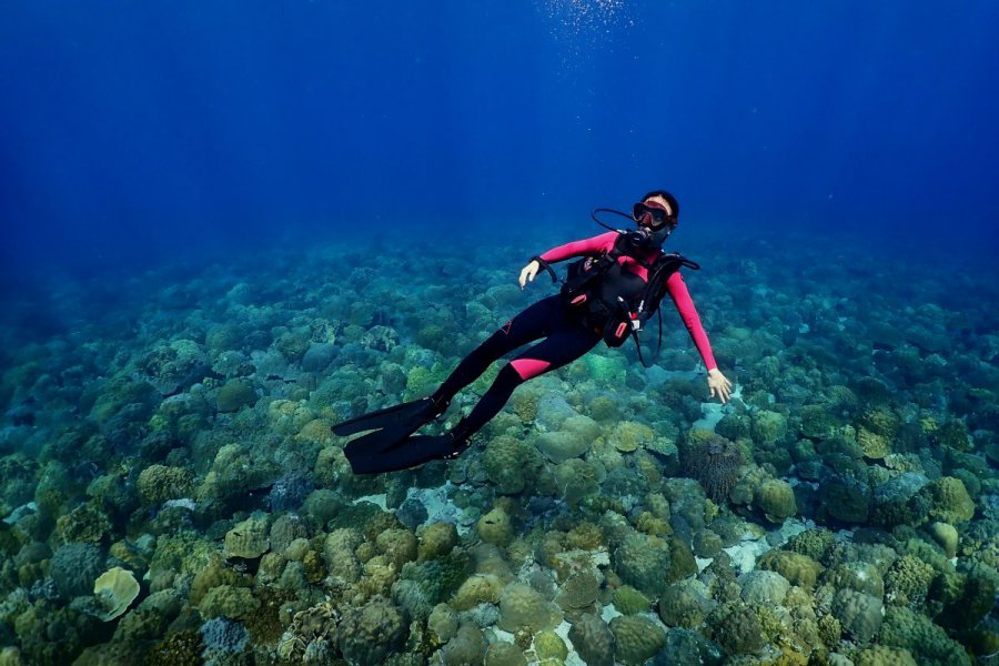 Dive Koh Chang