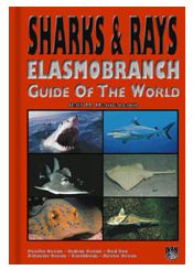 : Ralf M. Hennemann's Sharks & Rays